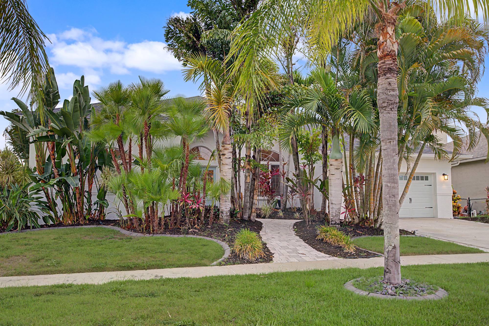 Front yard of a Florida home with tall palm trees